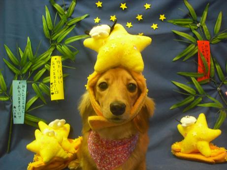 ファイル 4310-1.jpg