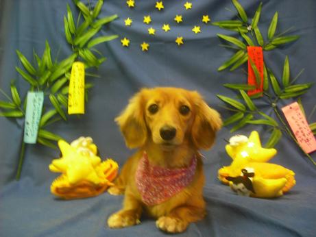 ファイル 4310-2.jpg