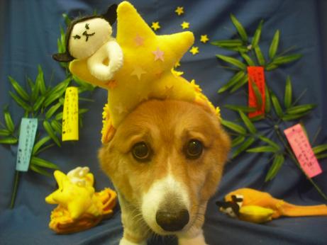 ファイル 4311-1.jpg