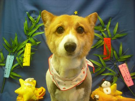 ファイル 4311-2.jpg