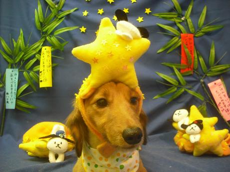 ファイル 4312-1.jpg