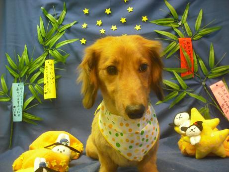 ファイル 4312-2.jpg