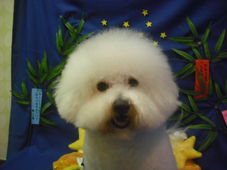 ファイル 4314-1.jpg