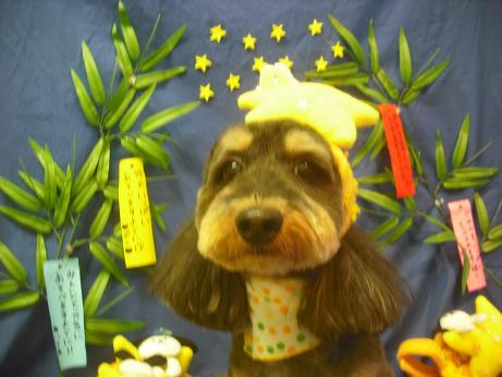 ファイル 4315-1.jpg