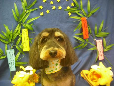 ファイル 4315-2.jpg