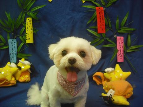 ファイル 4316-2.jpg