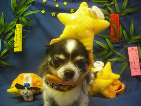 ファイル 4318-1.jpg