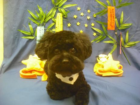 ファイル 4319-2.jpg