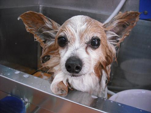 ファイル 432-2.jpg