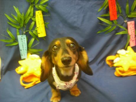 ファイル 4320-2.jpg