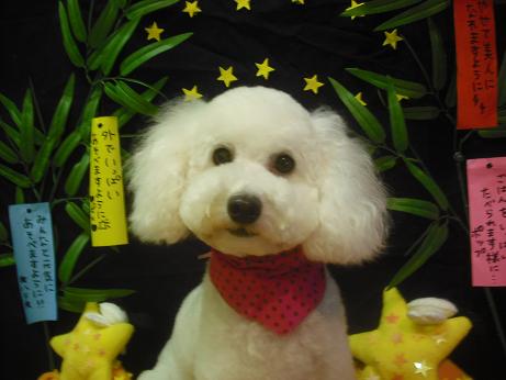 ファイル 4321-2.jpg