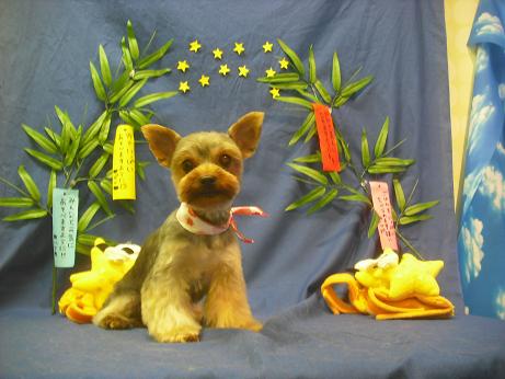 ファイル 4322-1.jpg