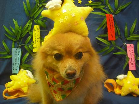 ファイル 4323-1.jpg