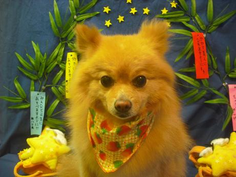 ファイル 4323-2.jpg