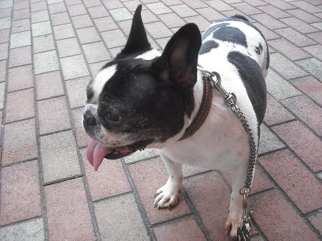 ファイル 4324-2.jpg