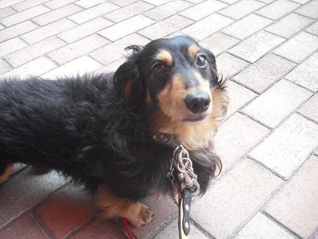 ファイル 4325-2.jpg