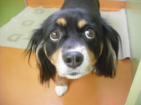 ファイル 4328-1.jpg