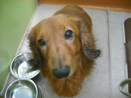 ファイル 4329-1.jpg