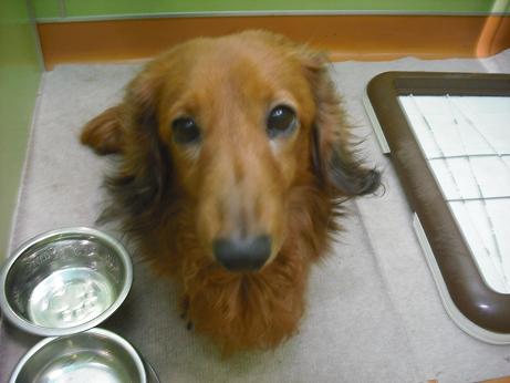 ファイル 4329-2.jpg