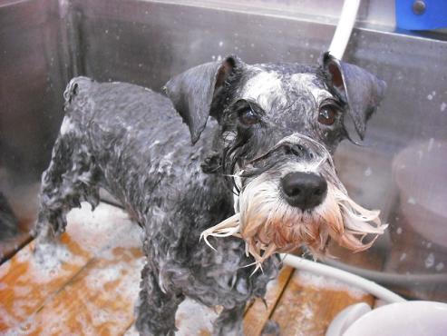 ファイル 433-3.jpg