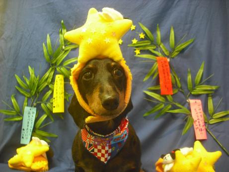 ファイル 4331-1.jpg