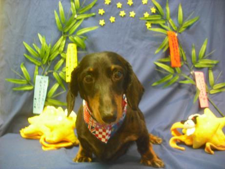 ファイル 4331-2.jpg