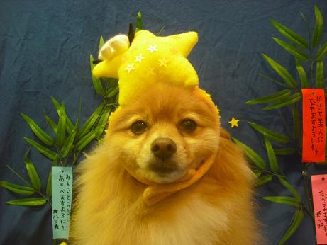 ファイル 4337-1.jpg