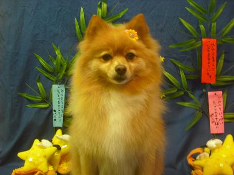 ファイル 4337-2.jpg