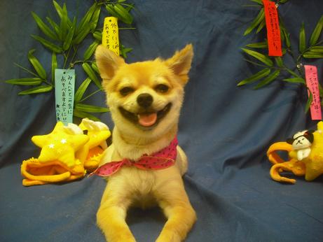 ファイル 4338-2.jpg