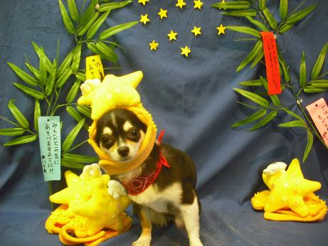 ファイル 4340-1.jpg