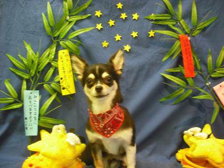 ファイル 4340-2.jpg