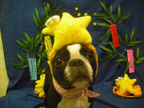 ファイル 4341-1.jpg