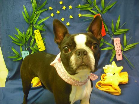 ファイル 4341-2.jpg