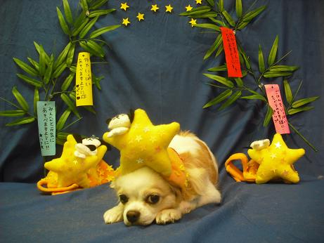 ファイル 4342-1.jpg