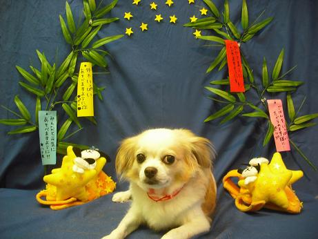 ファイル 4342-2.jpg