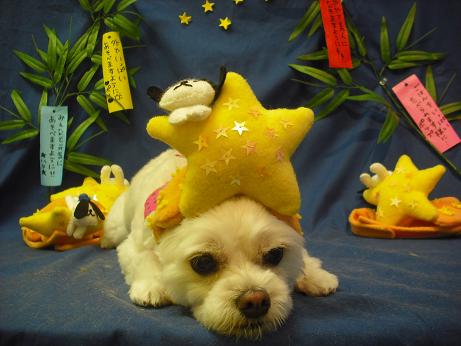 ファイル 4343-1.jpg