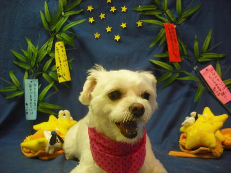 ファイル 4343-2.jpg