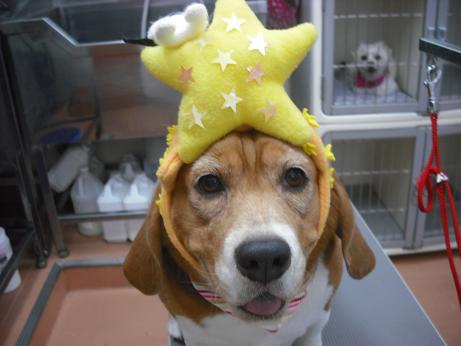 ファイル 4345-1.jpg