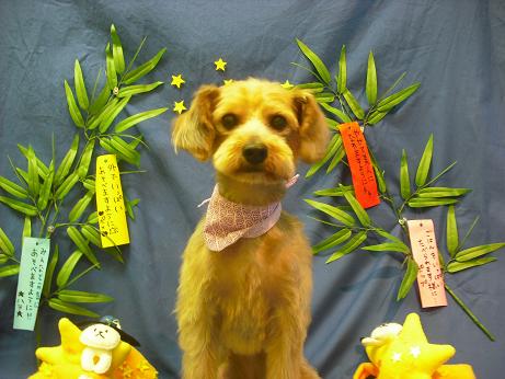 ファイル 4346-1.jpg