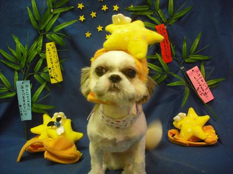 ファイル 4347-1.jpg