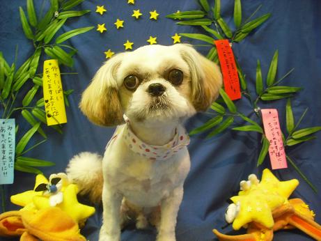 ファイル 4347-2.jpg