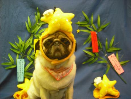 ファイル 4348-1.jpg