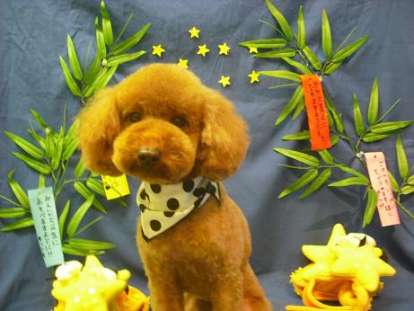 ファイル 4349-1.jpg