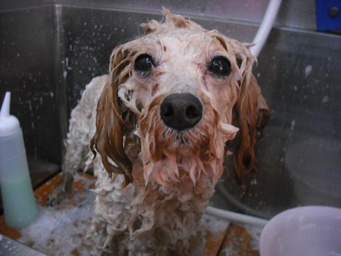 ファイル 435-2.jpg