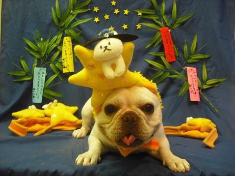 ファイル 4351-1.jpg