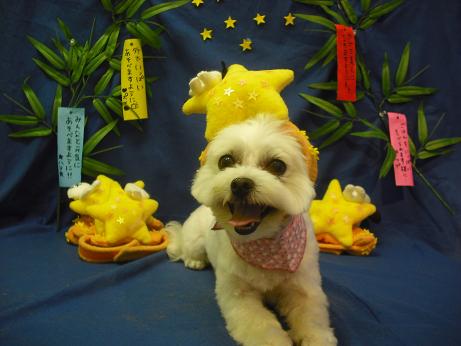 ファイル 4352-1.jpg