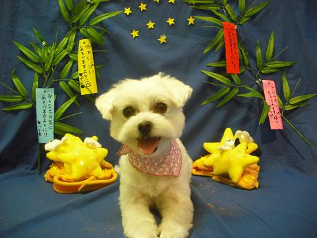 ファイル 4352-2.jpg