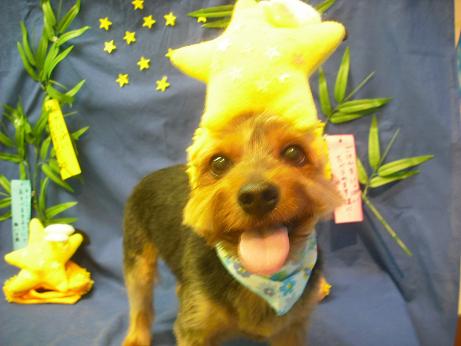 ファイル 4353-1.jpg