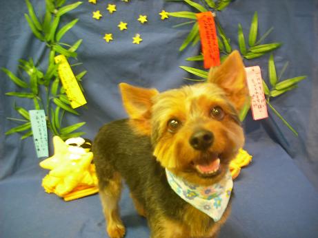 ファイル 4353-2.jpg