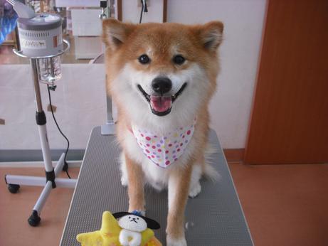 ファイル 4354-1.jpg